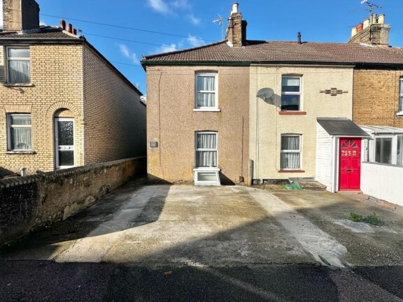 295A Image