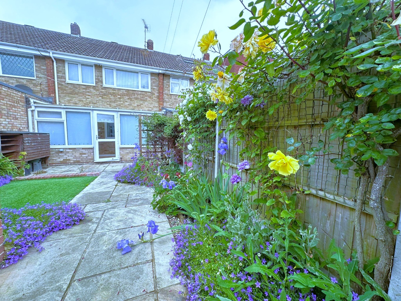 Property Image 15