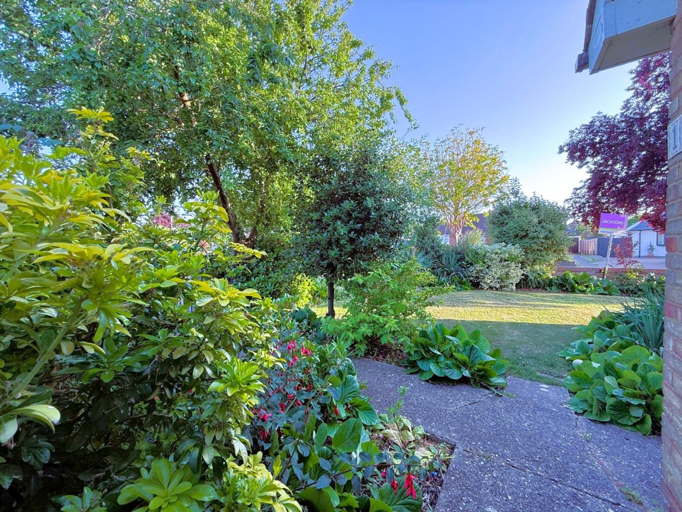 Property Image 16