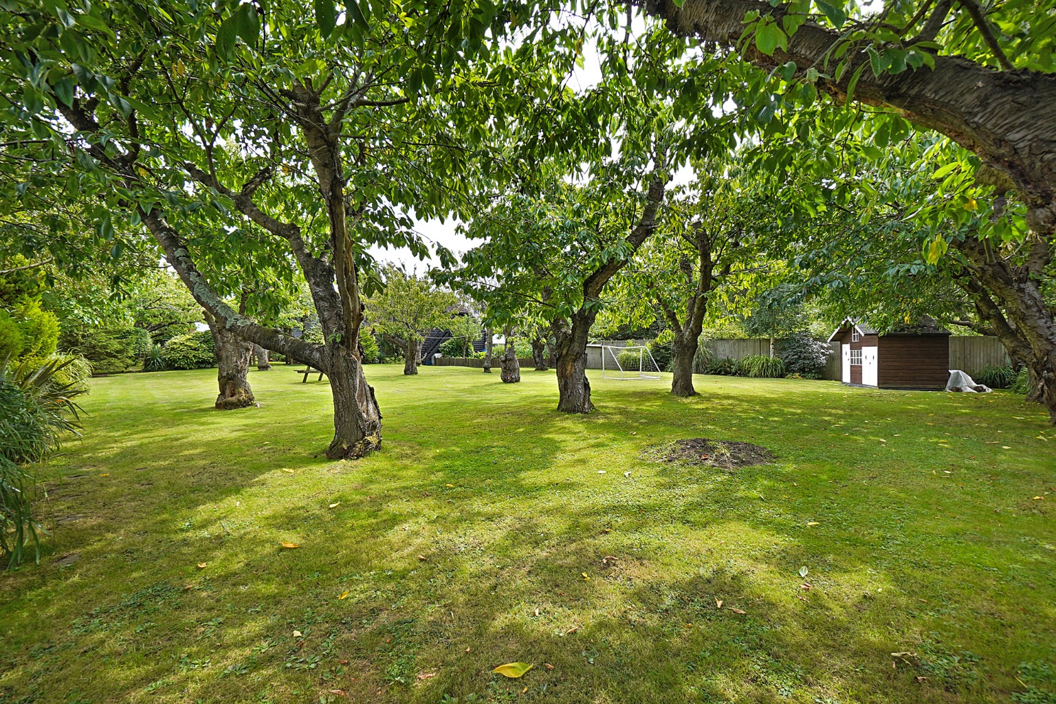 Property Image 34